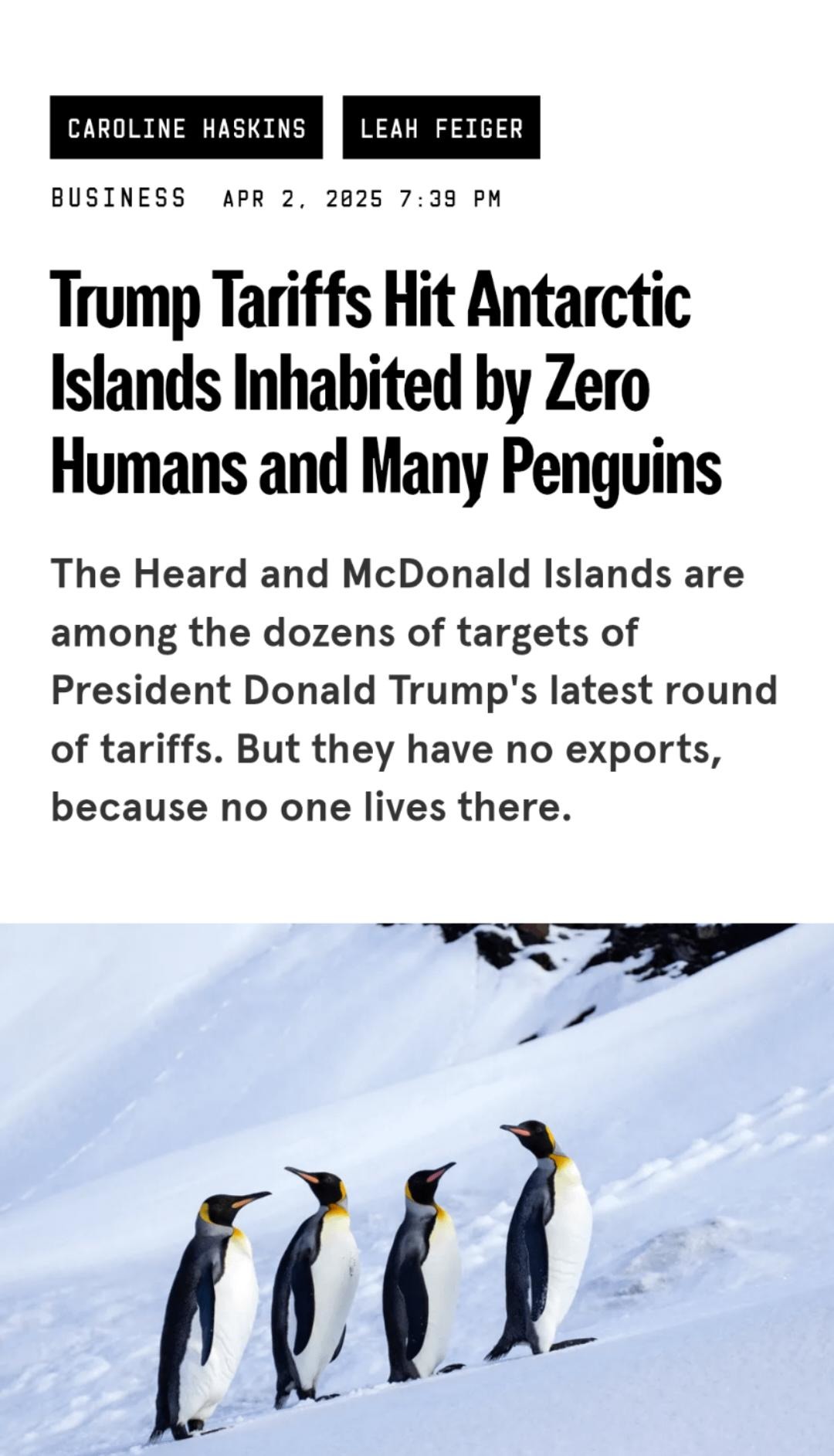Trump slaps tariffs on penguins now? - meme