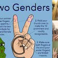 G for gender!