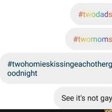 Not gay bro - meme