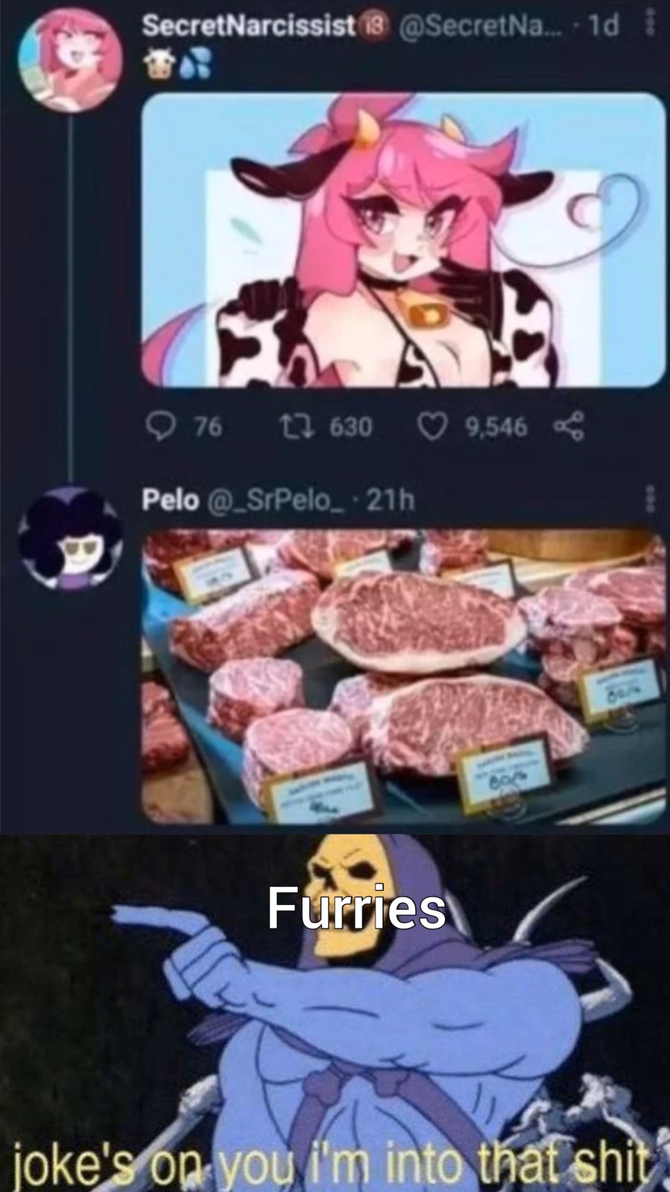 ohhh furries.  why you be so gross - meme