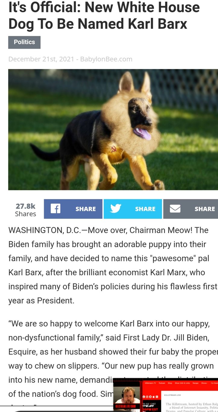 It's Official: New White House Dog To Be Named Karl Barx - meme