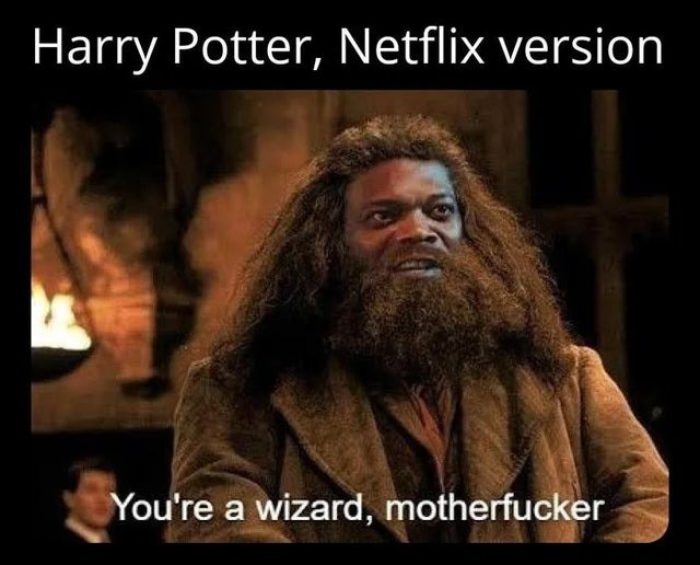 Harry Potter, Netflix version - meme