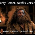 Harry Potter, Netflix version
