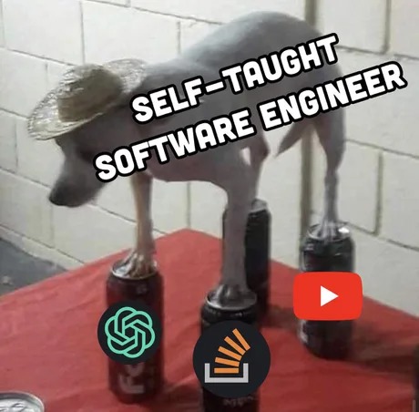 Self taught software engineer - meme