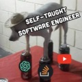 Self taught software engineer