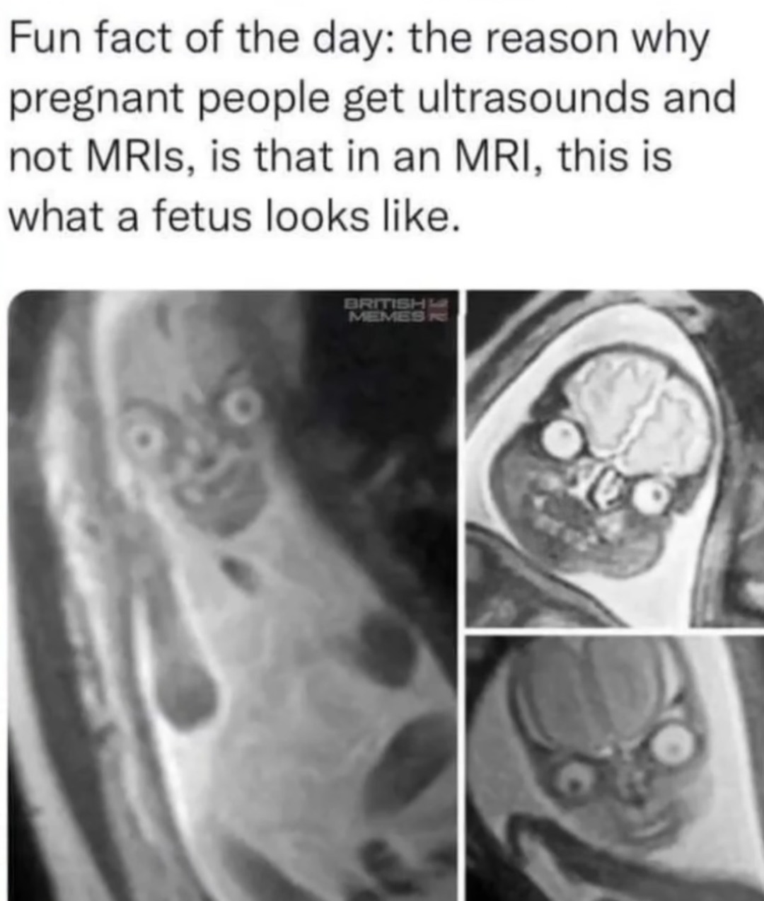 I didnt fact check this, hope its true - meme