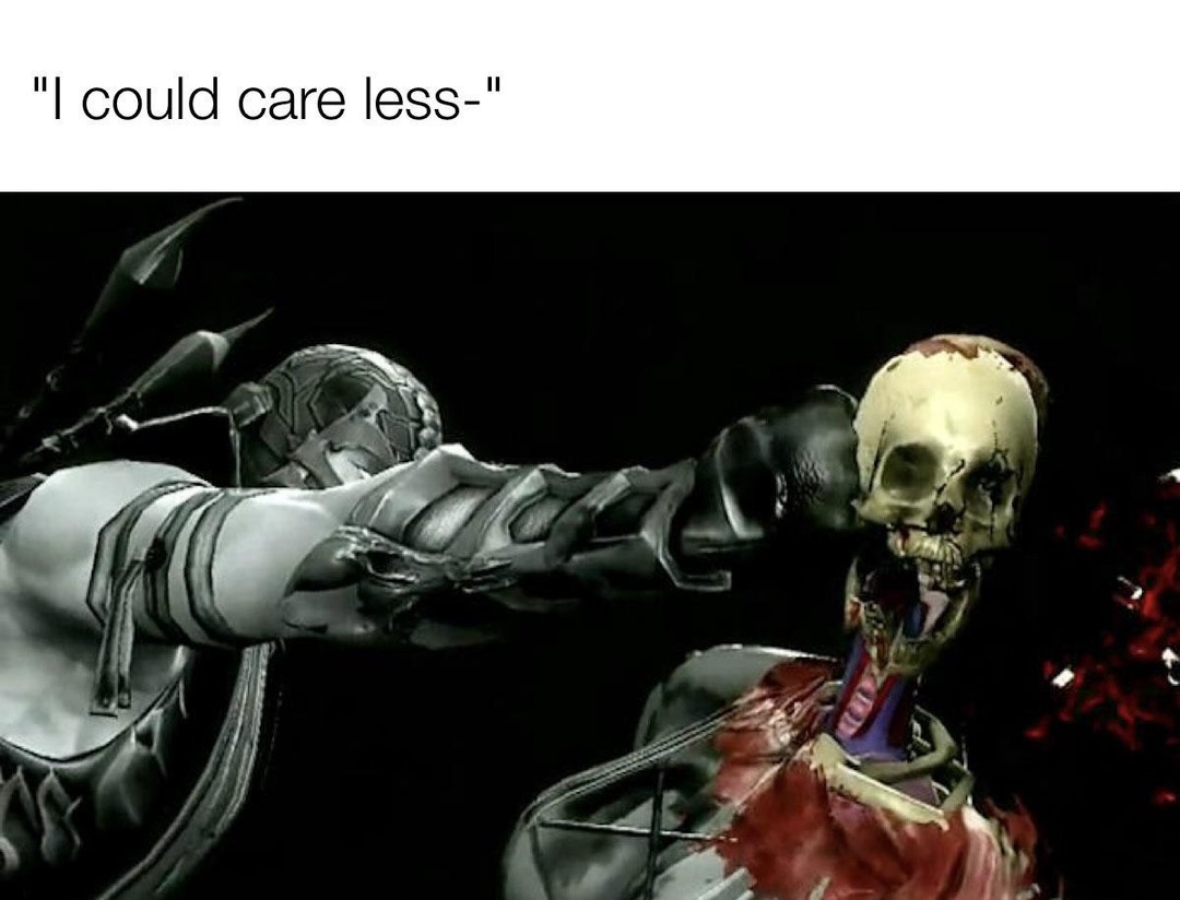 could care less but I won't. so I don't. - meme