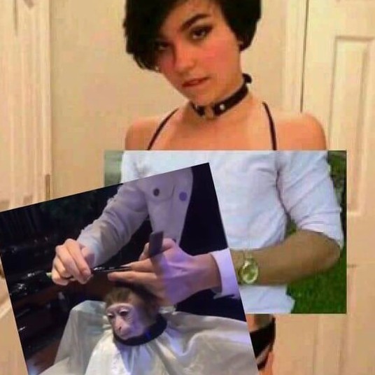 Breasts are temporary. Monkey hair cuts are eternal - meme