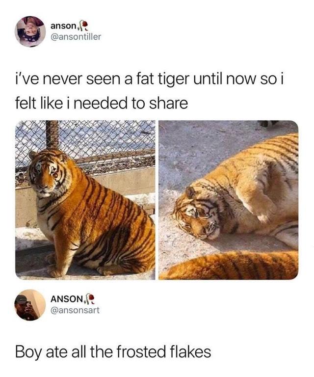 Fatest tiger on earth - meme
