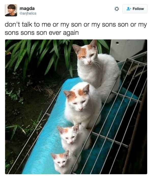 Son.... We have to talk... - meme