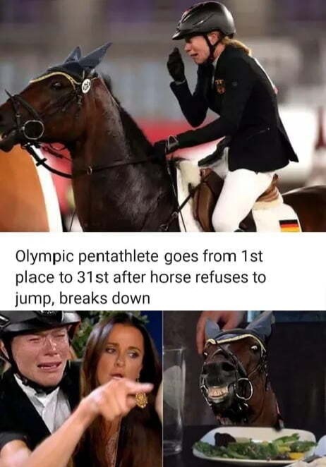 Poor horse is gonna get sold now - meme