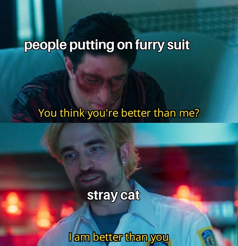Stray cat vs furry - meme
