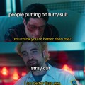Stray cat vs furry