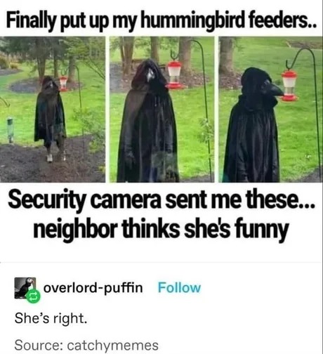 She's funny - meme