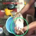 commented item thumbnail