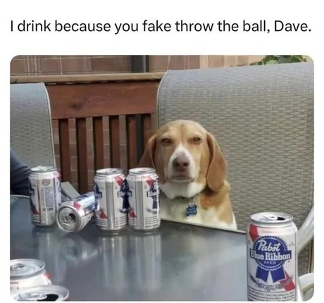 Dog betrayed after you fake the throw, classic - meme