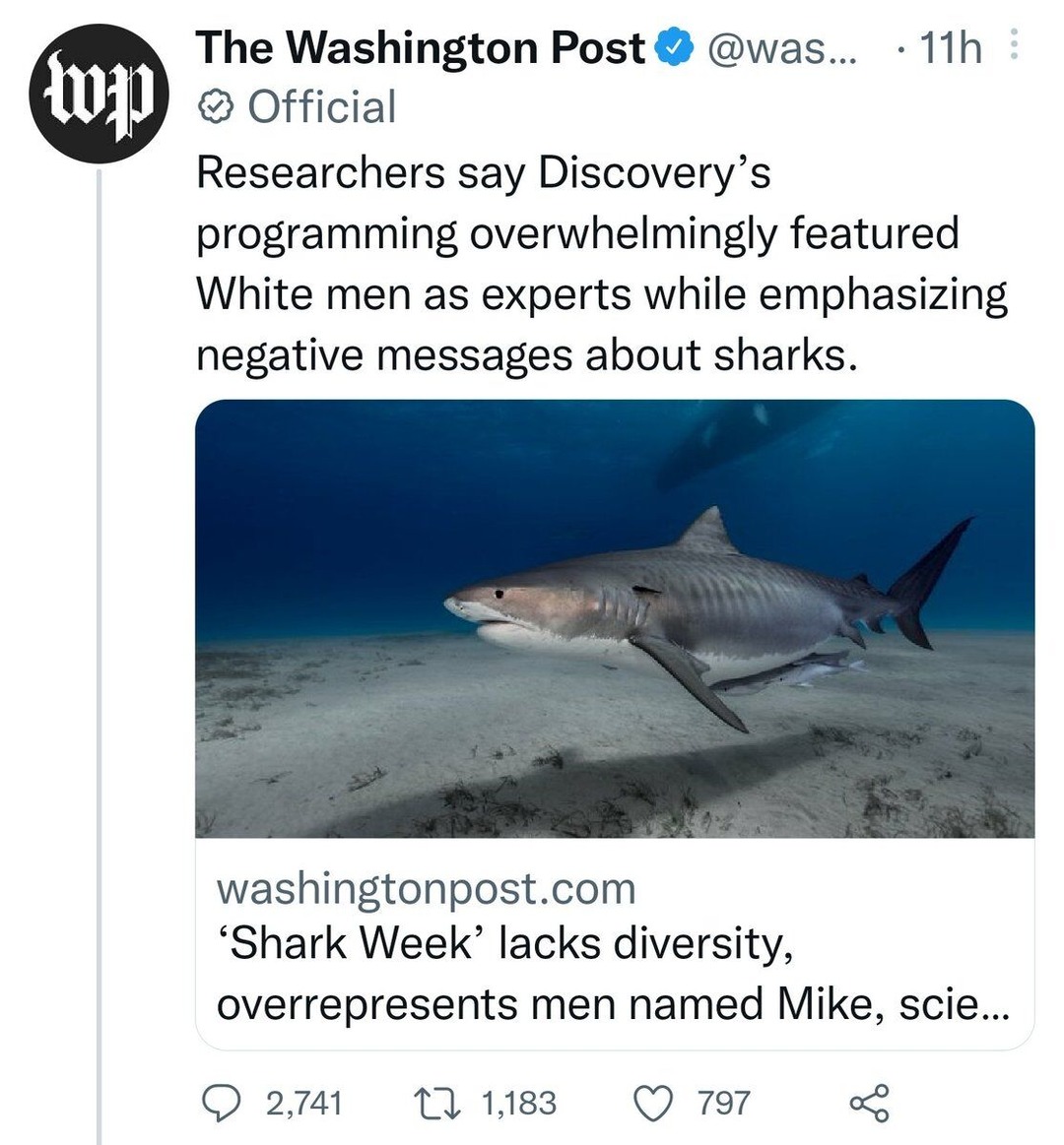 Welcome to Trump's America filled with yt privilege and anti-shark bigotry - meme