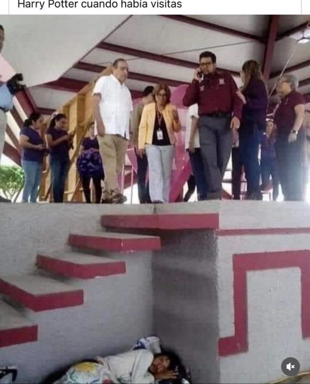 harry potter activando el modo decente cuando había visitas - meme