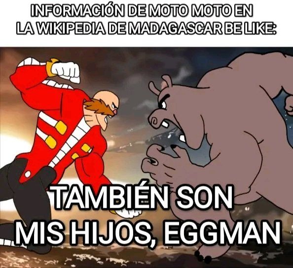 fans de moto moto - meme