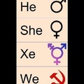 all genders