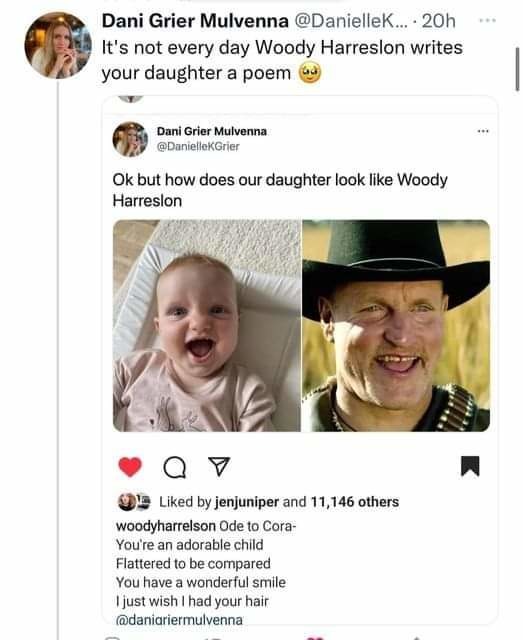 Wholesome Woody - meme