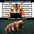 Tardigod>cualquier otro animal