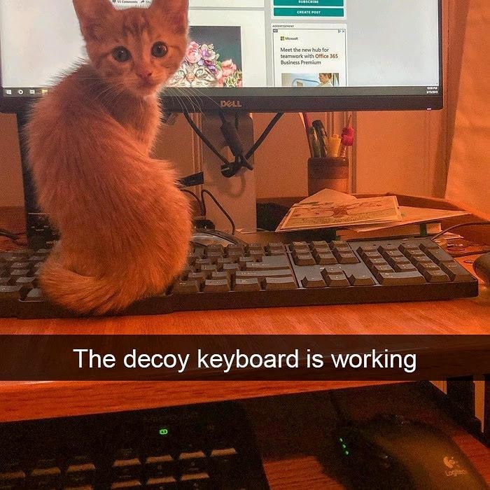 When the decoy keyboard finally fools the toddler - meme