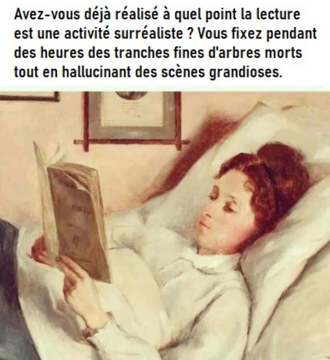 La lecture c'est juste halluciner devant des arbres morts - meme