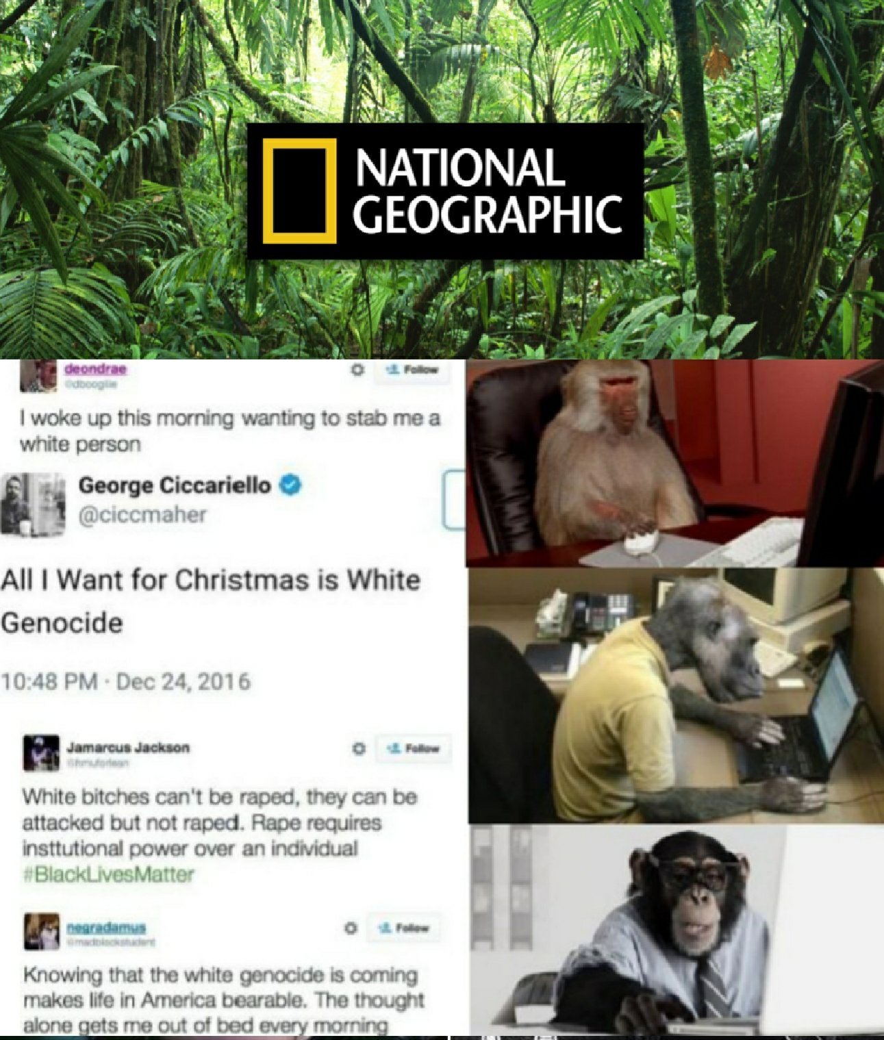 Nat geo presents white genocide - meme