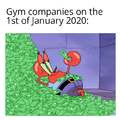 Gym companies on the 1st of January 2020