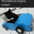 Need for speed cats