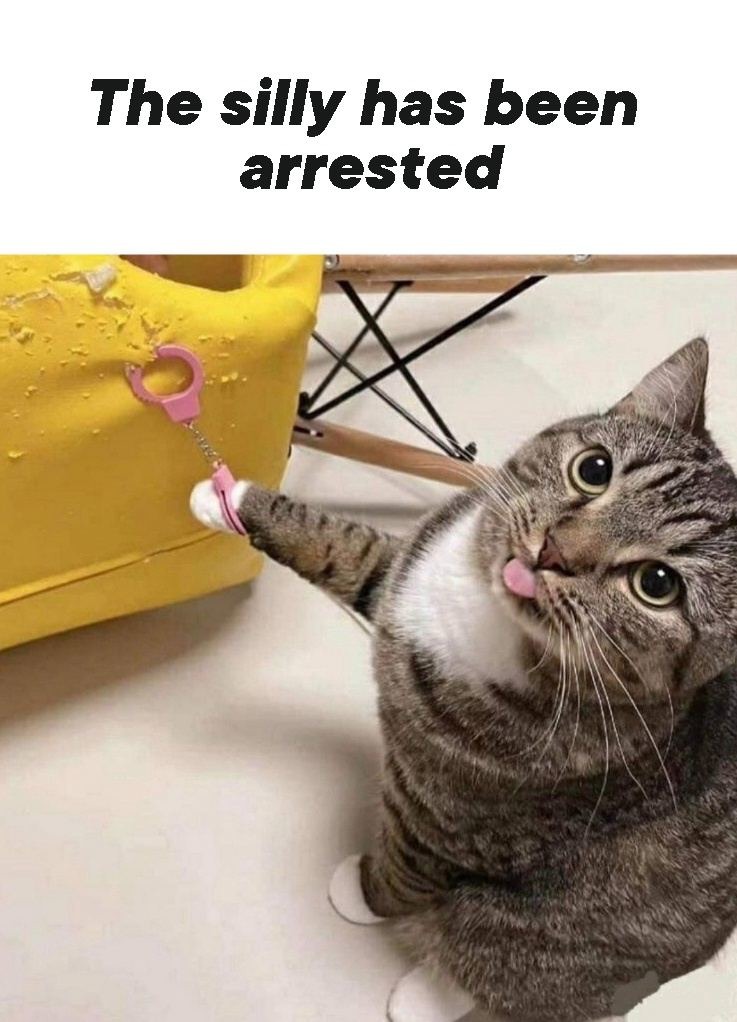 Let him go! - meme