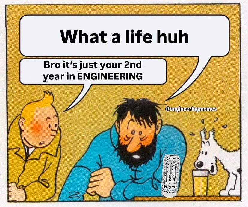 Bro it's just your 2nd year in engineering, chill with the nihilism - meme