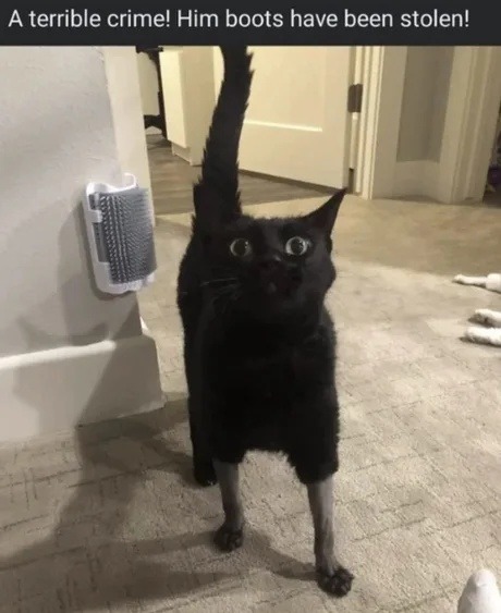 A terrible crime has occurred his boots have been stolen - meme