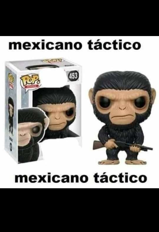 Mexicano táctico - meme