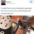 wholesome national dog day