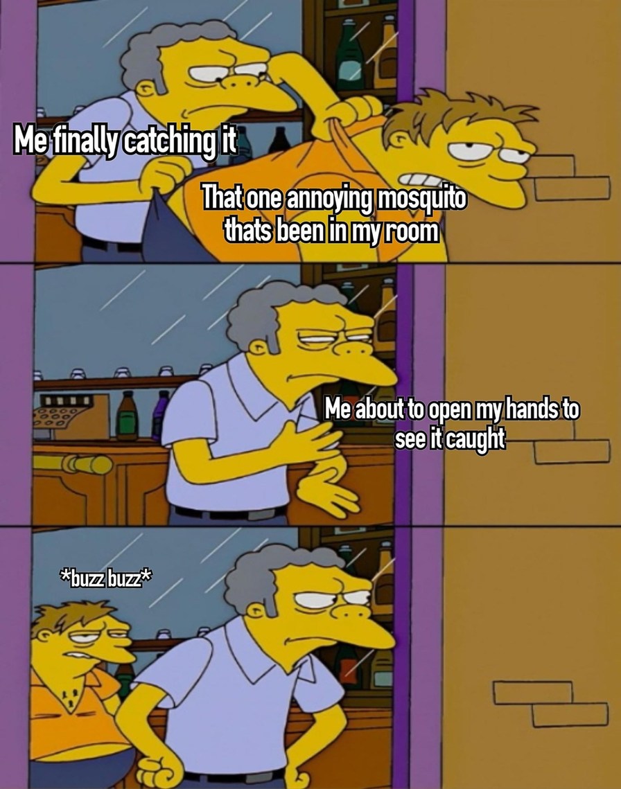 Me catching that one annoying mosquito in my room - meme