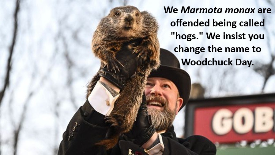 Woodchuck Day - meme
