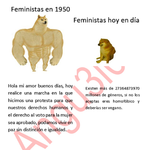Cheems feminista - meme