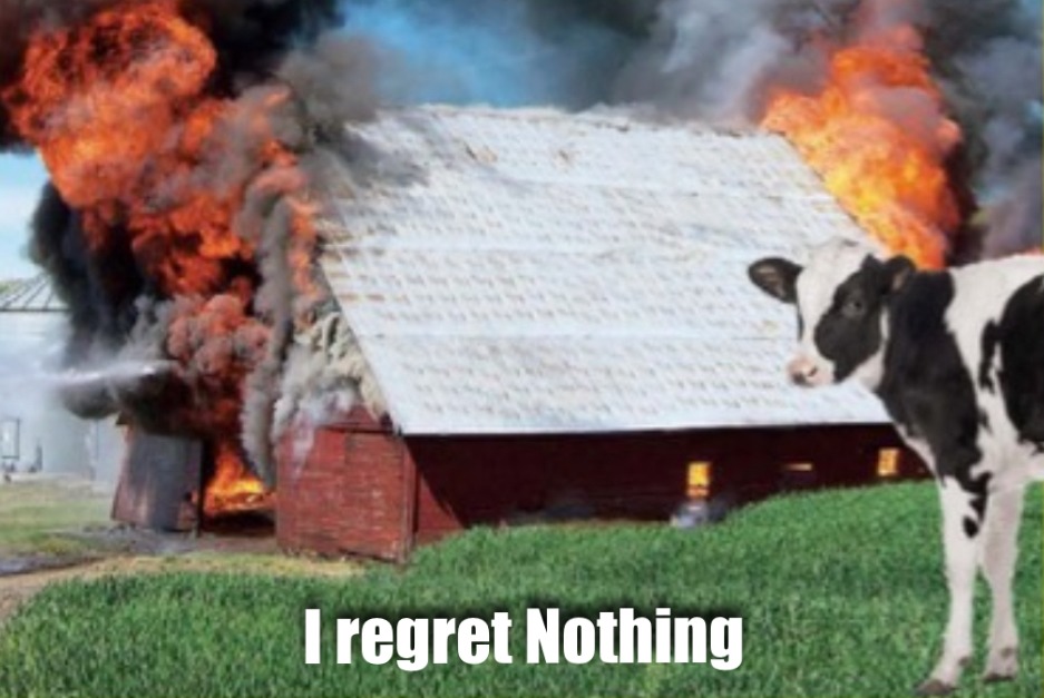 REDO EXPLODING COWS - meme