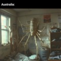 Australian spiders meme