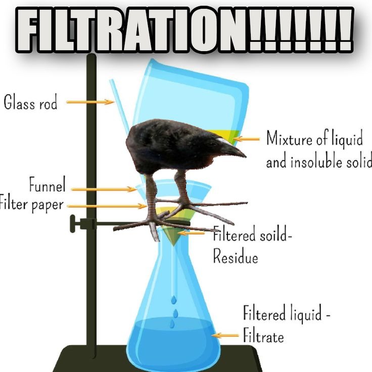 Exponenciacion - meme
