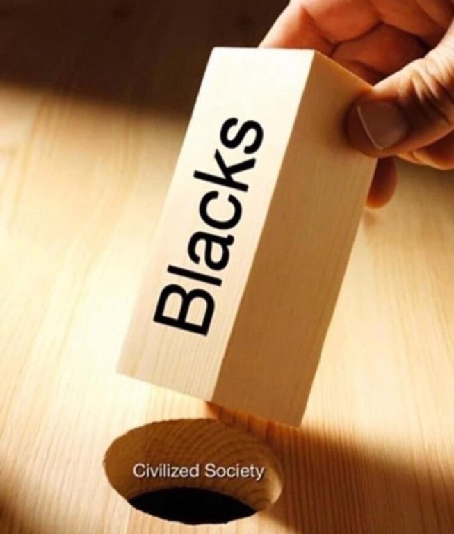 "You can't fit a square peg in a round hole". Democrats: "We're sure gonna try"! - meme