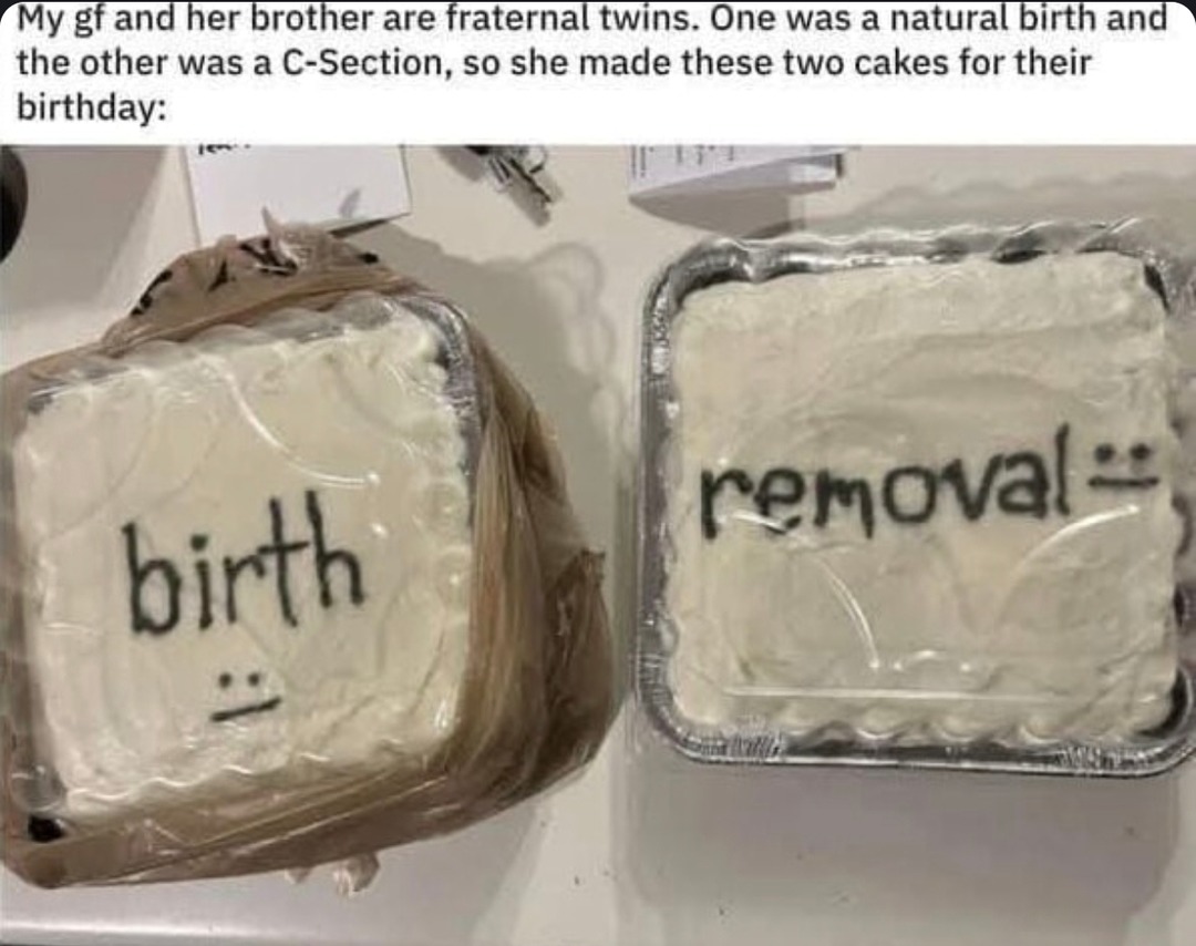 Twins born 2 ways, celebrated with 2 cakes. Science wins again - meme