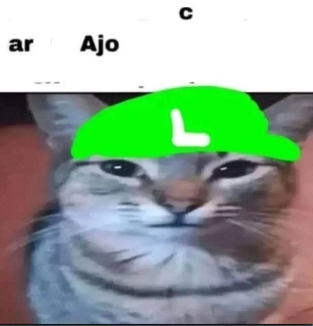 MODEREN CARAJOOOOOO - meme