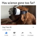 Super VR Doggo