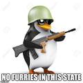 No furries allowed