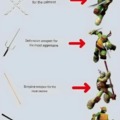The meaning of each weapon of the Ninja Turtles