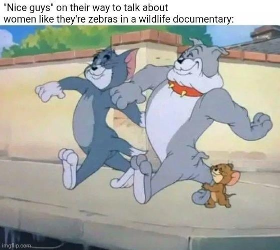 Nice guys talking about women like it’s Nat Geo - meme