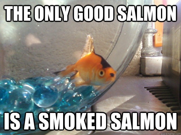 Fish loves all Fish Races - meme
